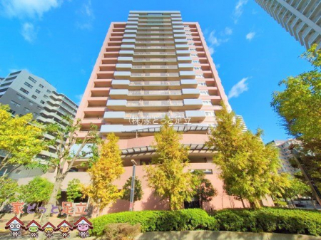 nOώʐ^@Be(2025-11-20 00:00:00)