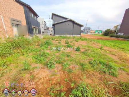 ���n�y�n�ʐ^�@�B�e��(2025-10-29 00:00:00)