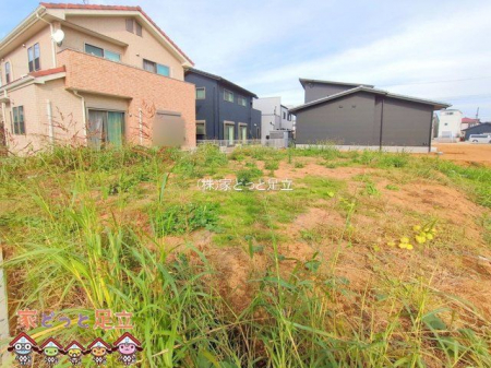 ���n�y�n�ʐ^�@�B�e��(2025-10-29)