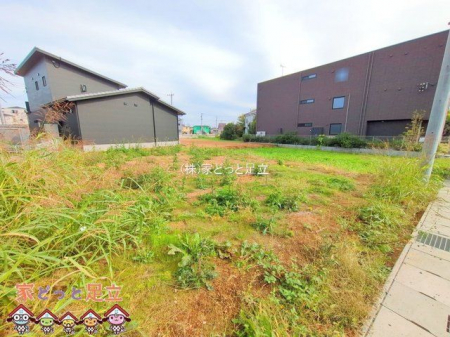 ���n�y�n�ʐ^�@�B�e��(2025-10-29 00:00:00)