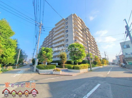 nOώʐ^@Be(2025-09-17)