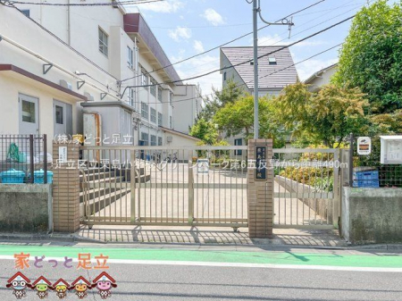 ���ӊ��@�����旧�I�����w�Z �B�e��(2023-05-11) 490m