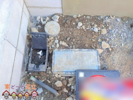 ���n�O�ώʐ^�@�B�e��(2025-12-17 00:00:00)