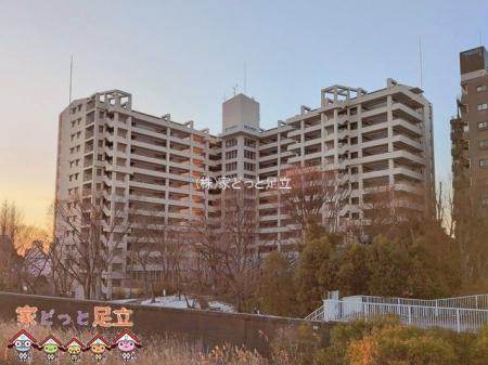 ���n�O�ώʐ^�@�B�e��(2026-01-05)