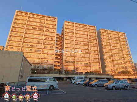 ���n�O�ώʐ^�@�B�e��(2026-01-05 00:00:00)