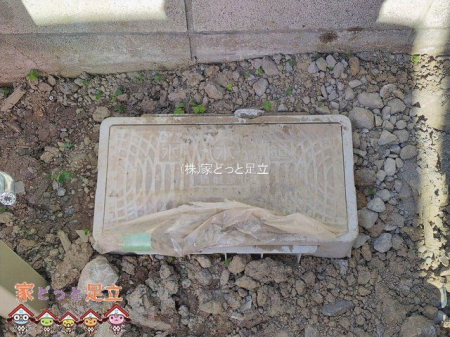 ���n�O�ώʐ^�@�B�e��(2026-01-26 00:00:00)