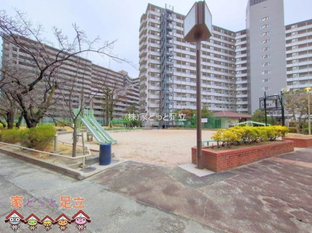 ���n�O�ώʐ^�@�B�e��(2025-03-06 00:00:00)