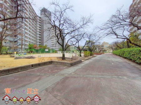 ���n�O�ώʐ^�@�B�e��(2025-03-06 00:00:00)