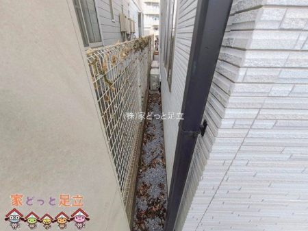 ���n�O�ώʐ^�@�B�e��(2026-01-29 00:00:00)