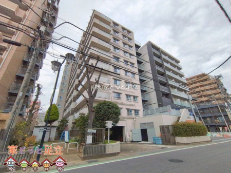 ���n�O�ώʐ^�@�B�e��(2026-01-21 00:00:00)