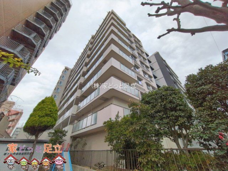 ���n�O�ώʐ^�@�B�e��(2026-01-21 00:00:00)