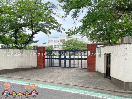 ���ӊ��@�����旧�{�鏬�w�Z �B�e��(2023-05-26) 600m