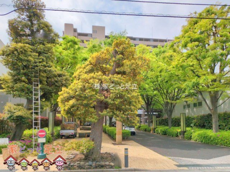 ���n�O�ώʐ^�@�B�e��(2025-04-22 00:00:00)