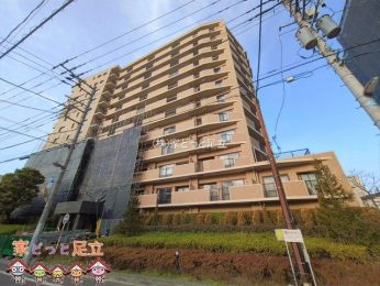 ���n�O�ώʐ^