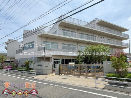 ���ӊ��@�����旧���l�ܐF�����w�Z �B�e��(2024-04-26) 600m