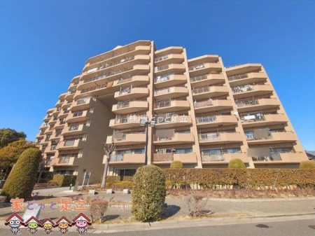 ���n�O�ώʐ^�@�B�e��(2026-02-02)