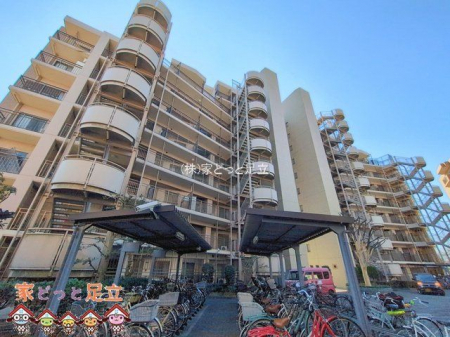 ���n�O�ώʐ^�@�B�e��(2026-02-02)