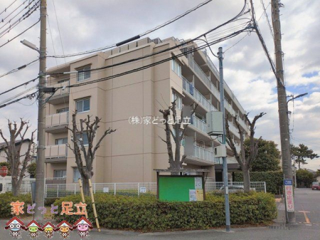 ���n�O�ώʐ^�@�B�e��(2026-02-12 00:00:00)