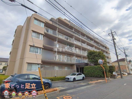 ���n�O�ώʐ^�@�B�e��(2026-02-12 00:00:00)