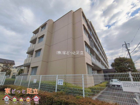 ���n�O�ώʐ^�@�B�e��(2026-02-12 00:00:00)