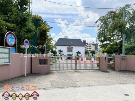 ���ӊ��@�����旧�퐶���w�Z �B�e��(2023-06-21) 350m