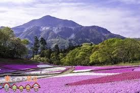 ���ӊ��@���V�،��� �k��7���B 510m