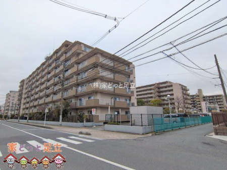 ���n�O�ώʐ^�@�B�e��(2026-02-26 00:00:00)