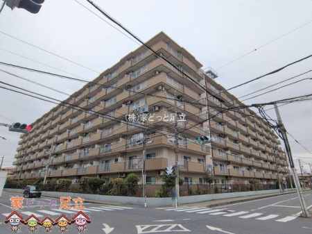 ���n�O�ώʐ^�@�B�e��(2026-02-26 00:00:00)