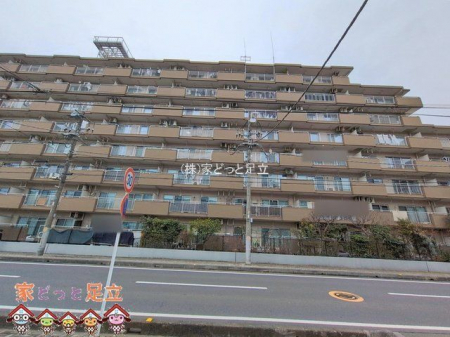 ���n�O�ώʐ^�@�B�e��(2026-02-26 00:00:00)