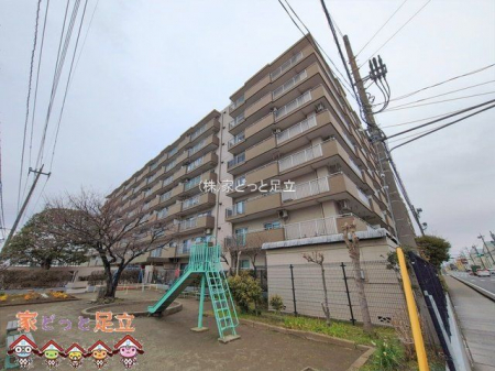 ���n�O�ώʐ^�@�B�e��(2026-02-26 00:00:00)