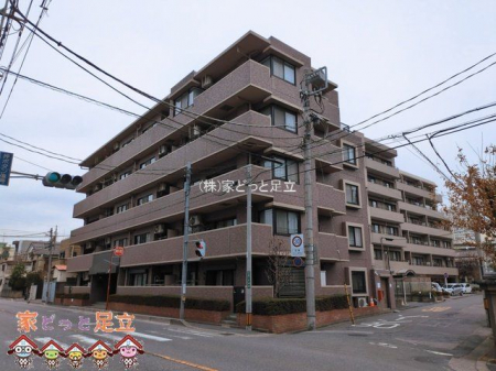 ���n�O�ώʐ^�@�B�e��(2026-03-02)