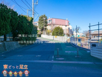 ���n�O�ώʐ^