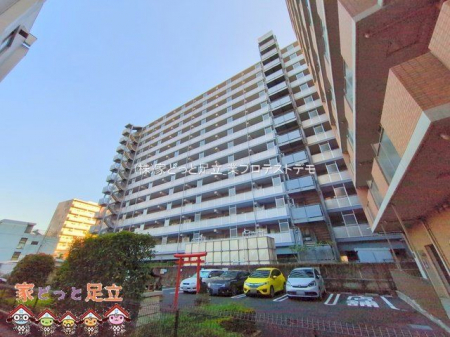 ���n�O�ώʐ^�@�B�e��(2024-11-22 00:00:00)