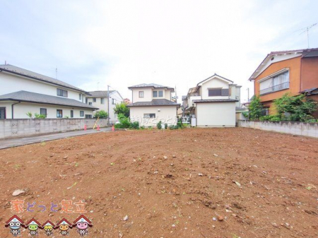 ���n�O�ώʐ^�@�B�e��(2025-06-16 00:00:00)