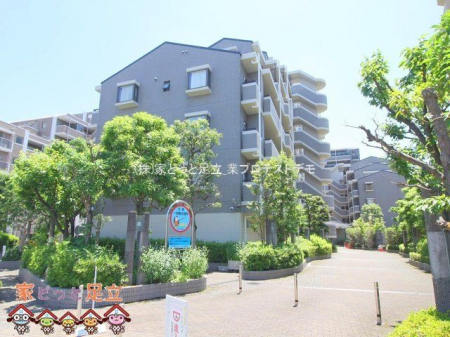 ���n�O�ώʐ^�@�B�e��(2024-06-19 00:00:00)