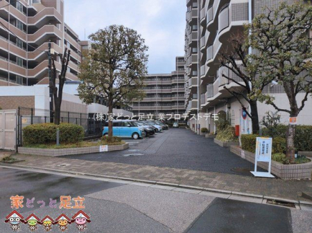 ���n�O�ώʐ^�@�B�e��(2026-03-10 00:00:00)