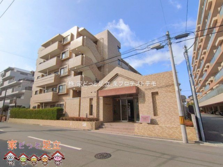 ���n�O�ώʐ^�@�B�e��(2026-02-16)