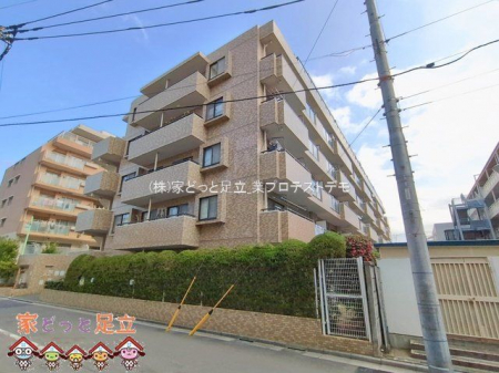 ���n�O�ώʐ^�@�B�e��(2026-02-16)