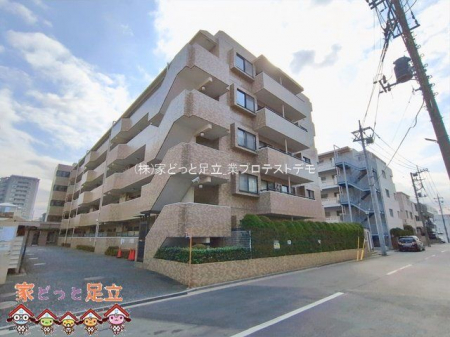 ���n�O�ώʐ^�@�B�e��(2026-02-16 00:00:00)