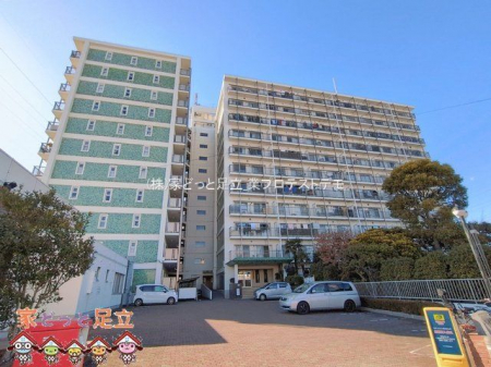 ���n�O�ώʐ^�@�B�e��(2026-02-09)