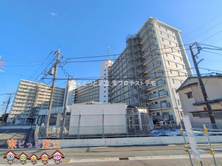 ���n�O�ώʐ^�@�B�e��(2026-02-09)