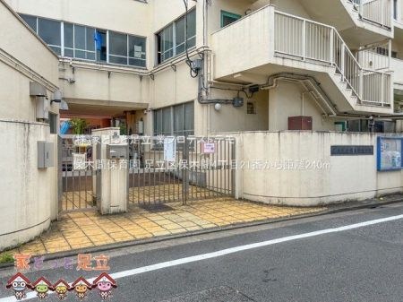 ���ӊ��@�ۖ؊ԕۈ牀 �B�e��(2023-08-28) 240m