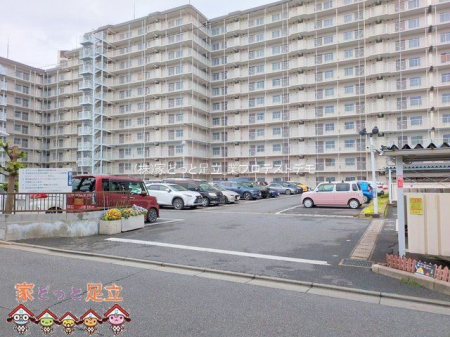 ���n�O�ώʐ^�@�B�e��(2025-05-02 00:00:00)