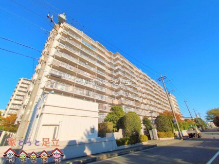 ���n�O�ώʐ^�@�B�e��(2024-11-11 00:00:00)