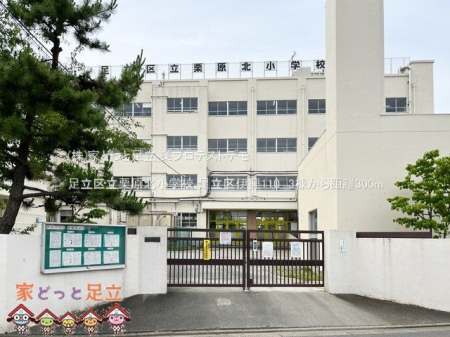 ���ӊ��@�����旧�I���k���w�Z �B�e��(2023-06-05) 300m